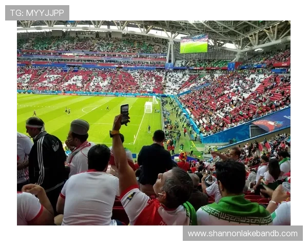 世界杯新闻播报观众互动专区，实时留言与粉丝互动分享你的看球心得