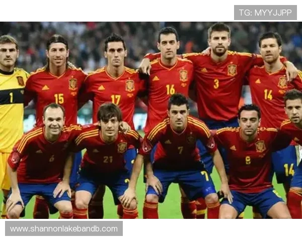 南非世界杯冠军：冠军球队的战术特点与成功秘诀