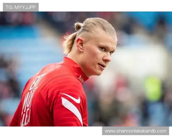 哈兰德未参加世界杯的原因是否与伤病有关