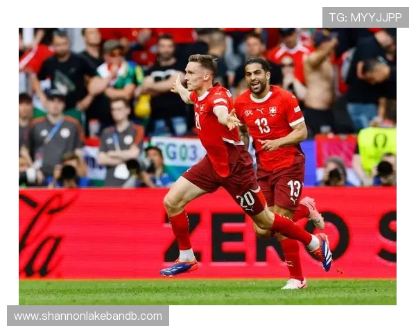 欧洲区世界杯预选赛焦点战赛前预测,双方战术布局与关键球员盘点