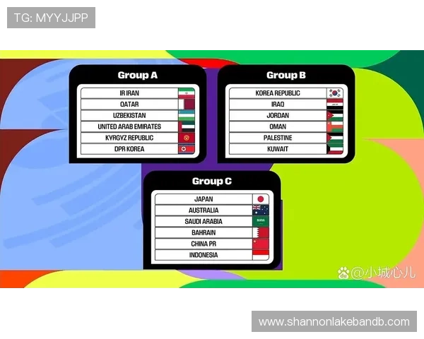 世界杯预选赛亚洲区分组情况最新分析与详细介绍，助你全面了解各队实力对比